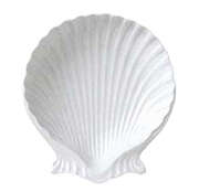 Shell Dishes