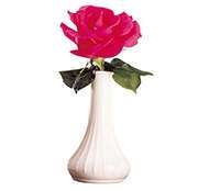 Bud Vases and Accent Vases