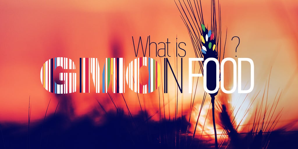 Unravelling GMOs: What is GMO and Why Is It In Your Food?