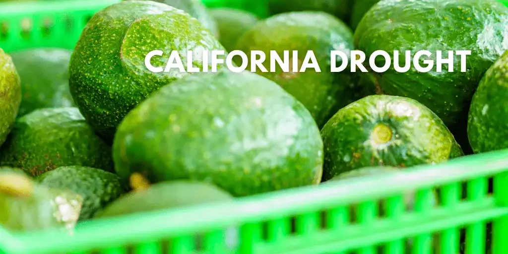 California Drought