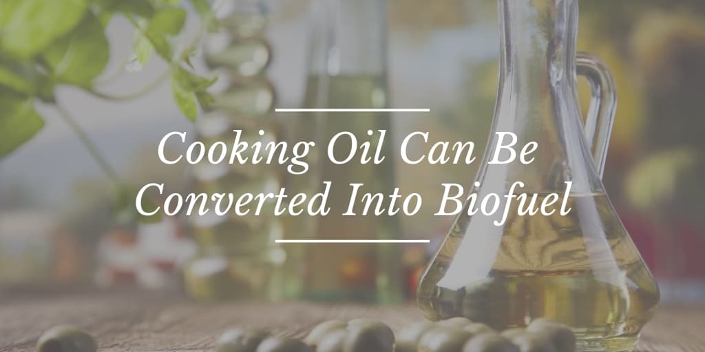 Cooking Oil Can Be Converted Into Biofuel