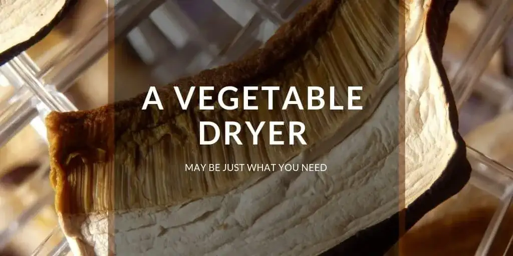 A Vegetable Dryer May Be Just What You Need