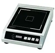 Global Solutions Induction Ranges
