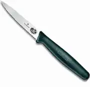 Victorinox Paring Knives