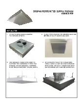 dipsp-manual.pdf