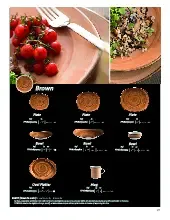 catalogpage.pdf
