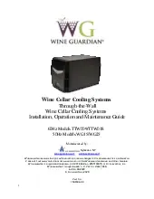 through-the-wall-manual-5-18-2022.pdf