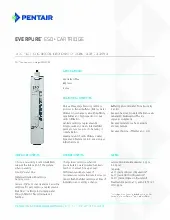 everpure-ev960710specsheet.pdf
