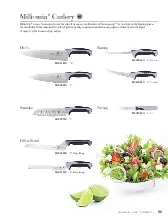catalogpage.pdf