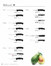 catalogpage.pdf