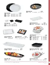 catalogpage.pdf