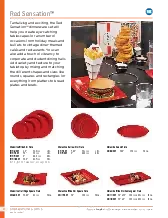 catalogpage.pdf