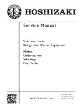 servicemanual.pdf