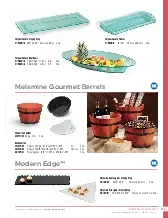 catalogpage.pdf