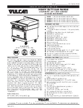 vulcan-v2bg4tsspecsheet.pdf