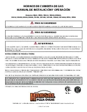 manualspanish.pdf