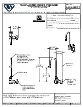 t-s-brass-b-0210-132x-wsspecsheet.pdf