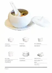 catalogpage.pdf