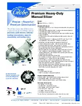 globe-sg13specsheet.pdf