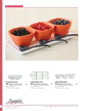 catalogpage.pdf
