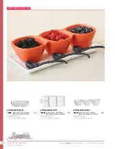 catalogpage.pdf