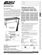 eagle-group-t4896gtemspecsheet.pdf