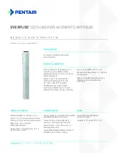 everpure-ev910867specsheet.pdf
