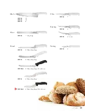catalogpage.pdf