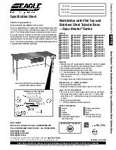 eagle-group-t4896stespecsheet.pdf