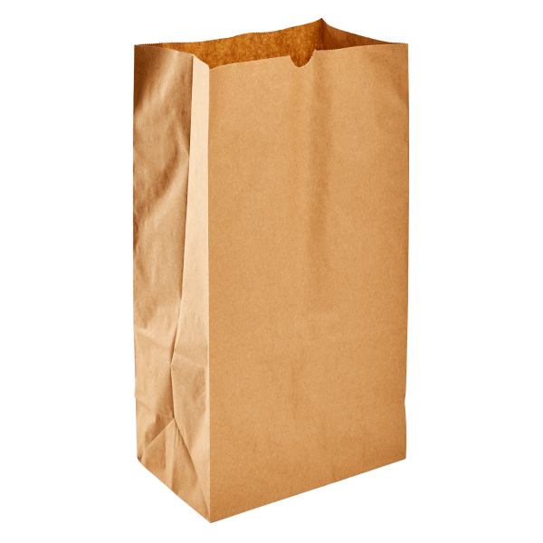 12LB. PAPER BAG, KRAFT, 2/500/1000