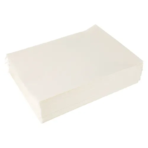AllPoints Foodservice Parts & Supplies AllPoints 2451061 Filter Paper
