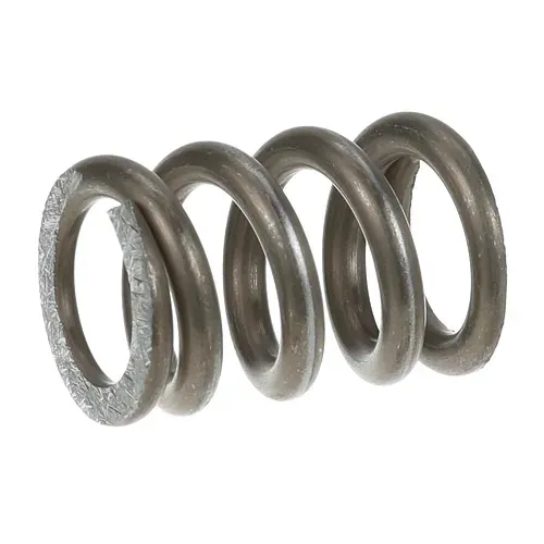 AllPoints Foodservice Parts & Supplies AllPoints 261563 Spring