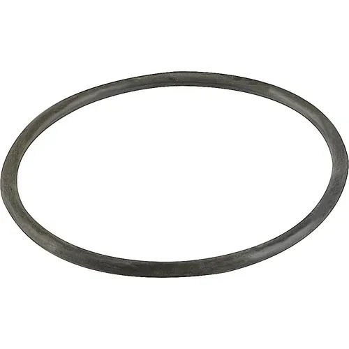 AllPoints Foodservice Parts & Supplies AllPoints 2762084 O-Ring for Tank Cover