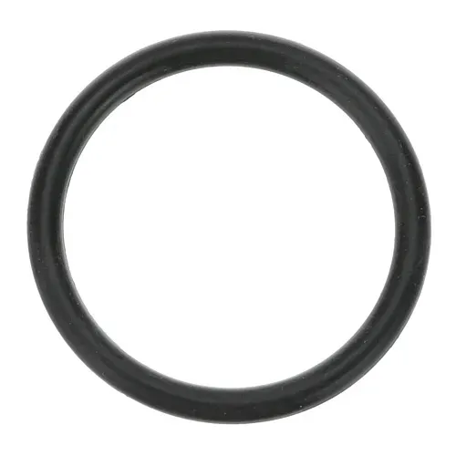 AllPoints Foodservice Parts & Supplies AllPoints 321537 O-ring