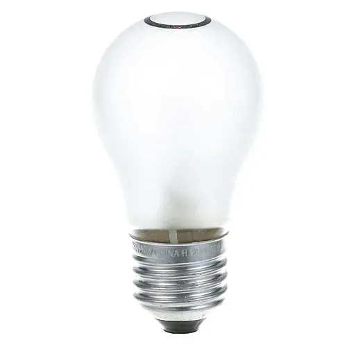 AllPoints Foodservice Parts & Supplies AllPoints 381734 BULB (250V