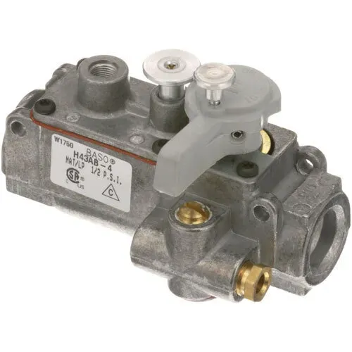 AllPoints Foodservice Parts & Supplies AllPoints 541033 Baso® Safety Valves