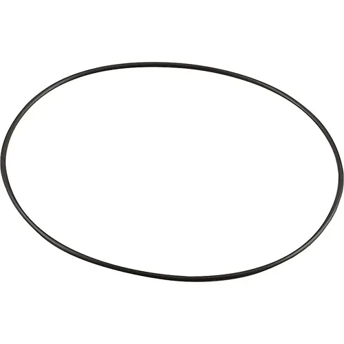 AllPoints Foodservice Parts & Supplies AllPoints 8014797 Water Pump O-Ring
