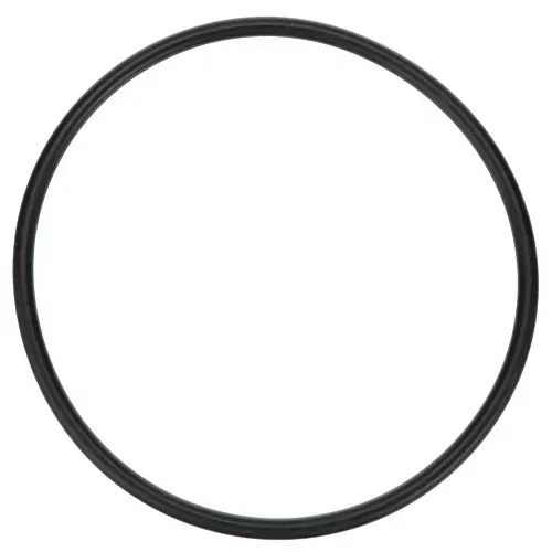 AllPoints Foodservice Parts & Supplies AllPoints Foodservice Parts & Supplies 32-1054 Hand Hole Gasket