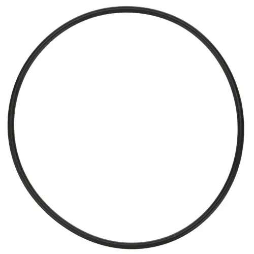 AllPoints Foodservice Parts & Supplies AllPoints Foodservice Parts & Supplies 32-1601 Pump Gasket