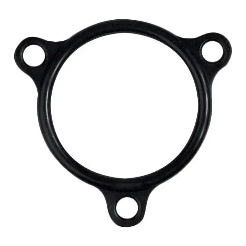 AllPoints Foodservice Parts & Supplies 32-1900 Gasket