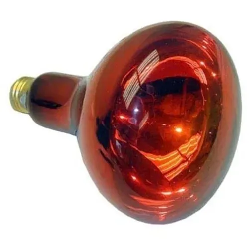 AllPoints Foodservice Parts & Supplies 38-1034 Infra-Red Lamp (pk 12) 130V