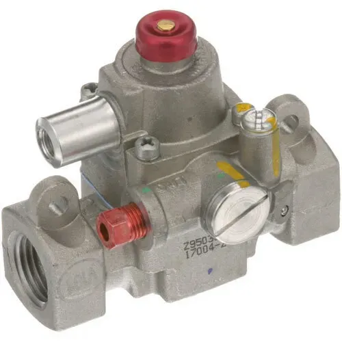 AllPoints Foodservice Parts & Supplies AllPoints Foodservice Parts & Supplies 54-1165 Body & Magnet Head Assembly