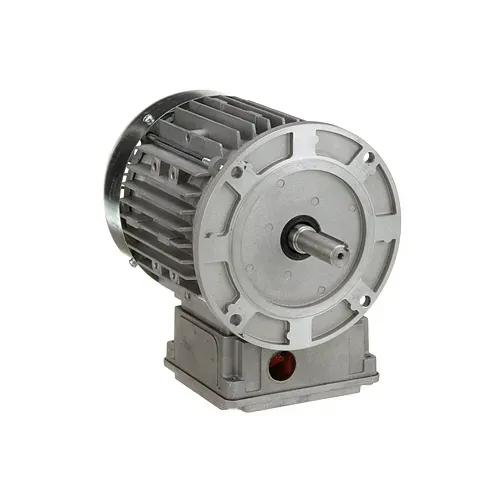 AllPoints Foodservice Parts & Supplies 8010783 Motor / Motor Parts, Replacement