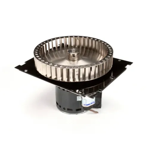 AllPoints Foodservice Parts & Supplies N21431926 Motor / Motor Parts, Replacement