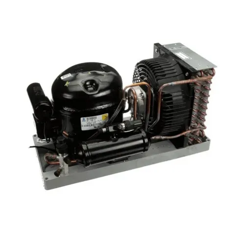 AllPoints Foodservice Parts & Supplies N21670410 Motor / Motor Parts, Replacement