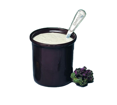 Bon Chef 9203PLUM Dressing Container
