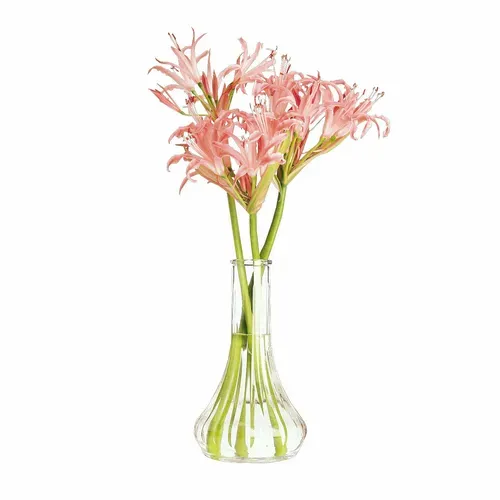 Cambro Cambro BV6CW135 Bud Vase