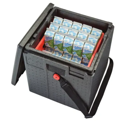 Cambro Cambro EPPMBWSTSW110 Cam GoBox® Insulated Milk Box