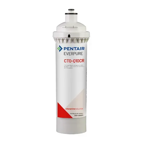 Everpure CTO-Q10CR QT Replacement Cartridge,  5", 6