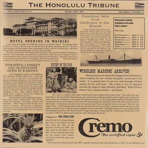 G.E.T. Enterprises G.E.T. Enterprises 4-TH1700 Food-Safe Hawaii Newsprint Liner